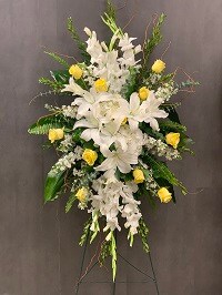 Yellow and White